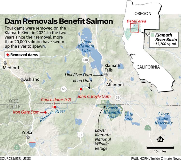 An infographic map illustrating dam removals along the Klamath River near the Oregon and California border. A text box in the upper left notes that four dams were removed in 2024, allowing over 20,000 salmon to swim upstream to spawn in the following two years. Red dots mark the locations of the four removed dams along the river: Iron Gate Dam, two Copco dams, and the John C. Boyle Dam. Black dots mark remaining infrastructure including Link River Dam and Keno Dam near Upper Klamath Lake and Klamath Falls. An inset map in the upper right shows the location of the 15,700-square-mile Klamath River Basin spanning southern Oregon and northern California.