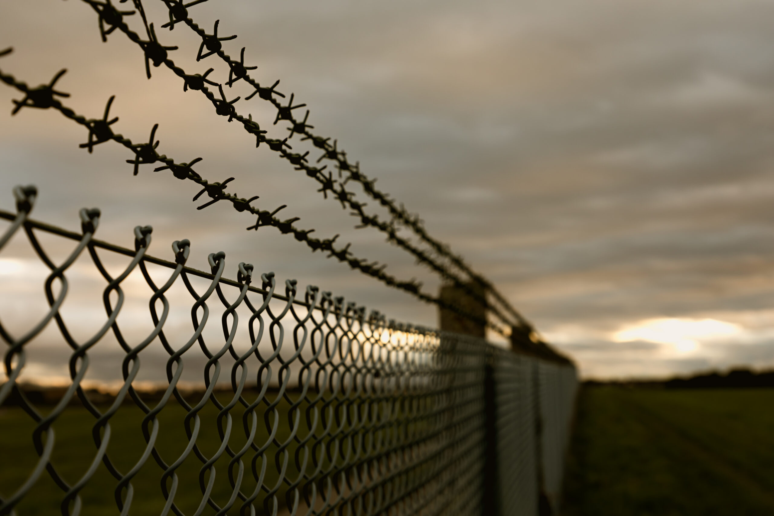 Wisconsin Prison Monarch Butterfly Program Nearly Doubles