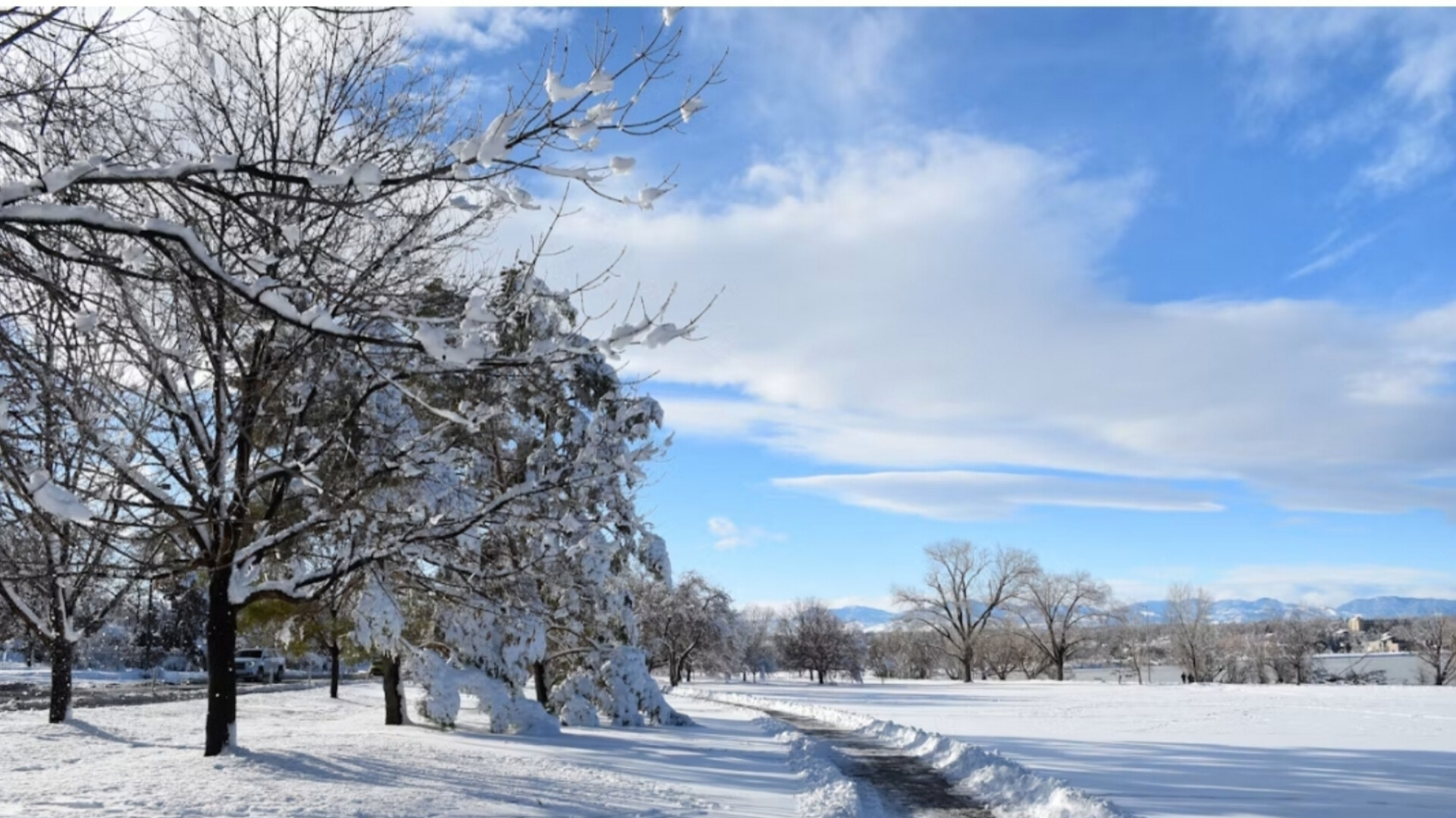 A snow-covered park landscape on a bright day with snow-laden trees lining a cleared pathway.