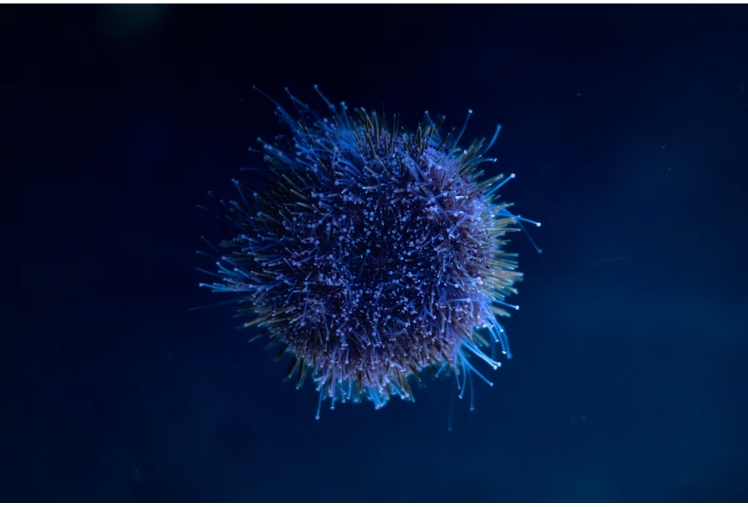 Small Viruses Blur Line Between Viruses and Cell Compartments