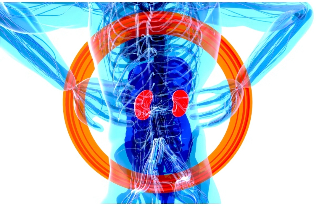 Overdose Kidney Injury Hit 34.5% of Hospital Stays, CDC Says