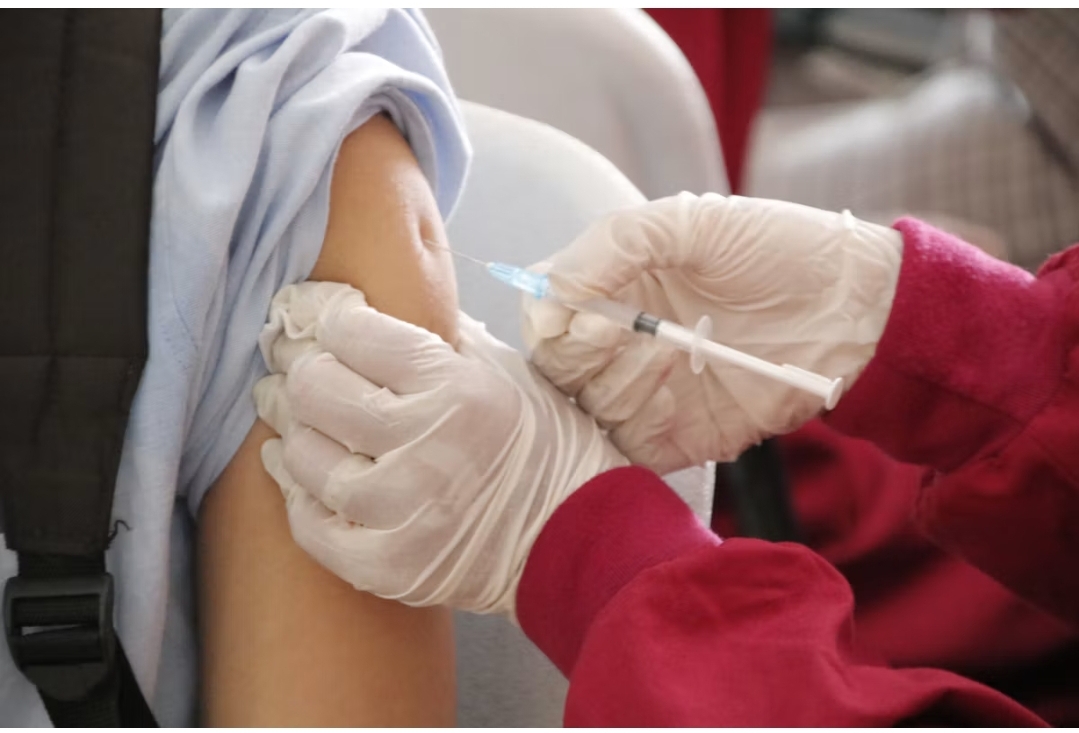 Pancreatic Cancer Vaccine Triggers Immune Response, Misses Primary Goal
